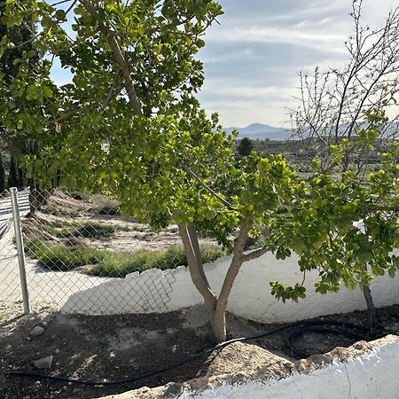 Alojamientos Cuevas Tiana El Aljibete Esterno foto