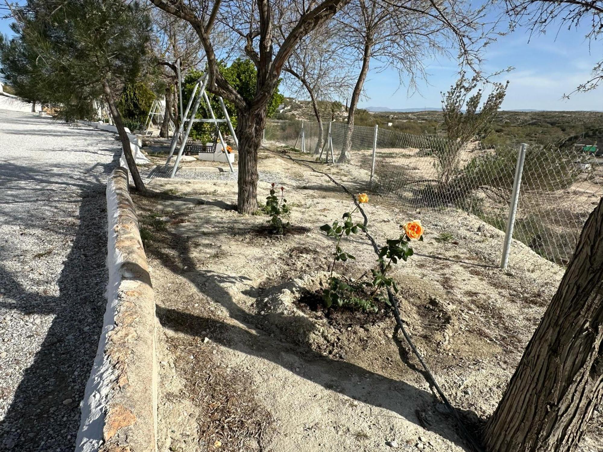 Alojamientos Cuevas Tiana El Aljibete Esterno foto