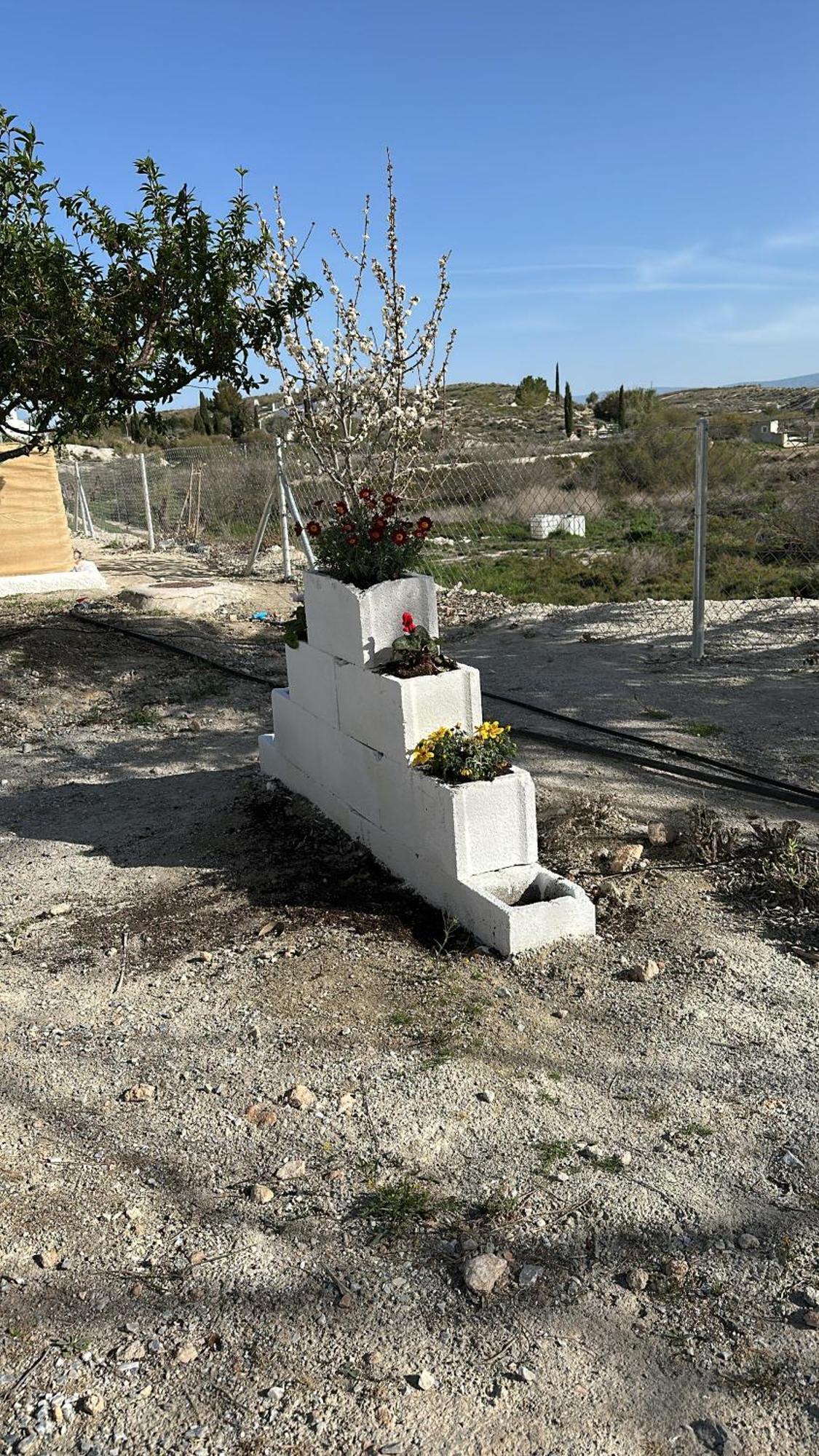 Alojamientos Cuevas Tiana El Aljibete Esterno foto
