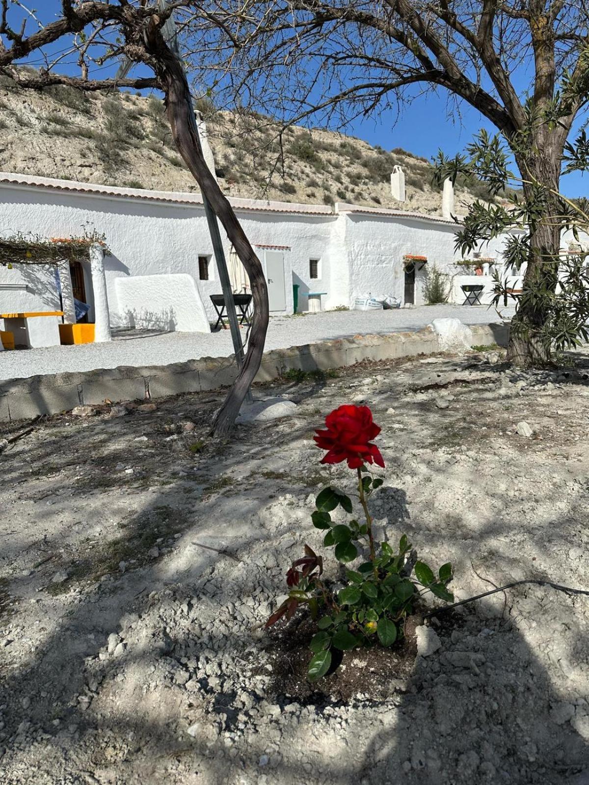 Alojamientos Cuevas Tiana El Aljibete Esterno foto